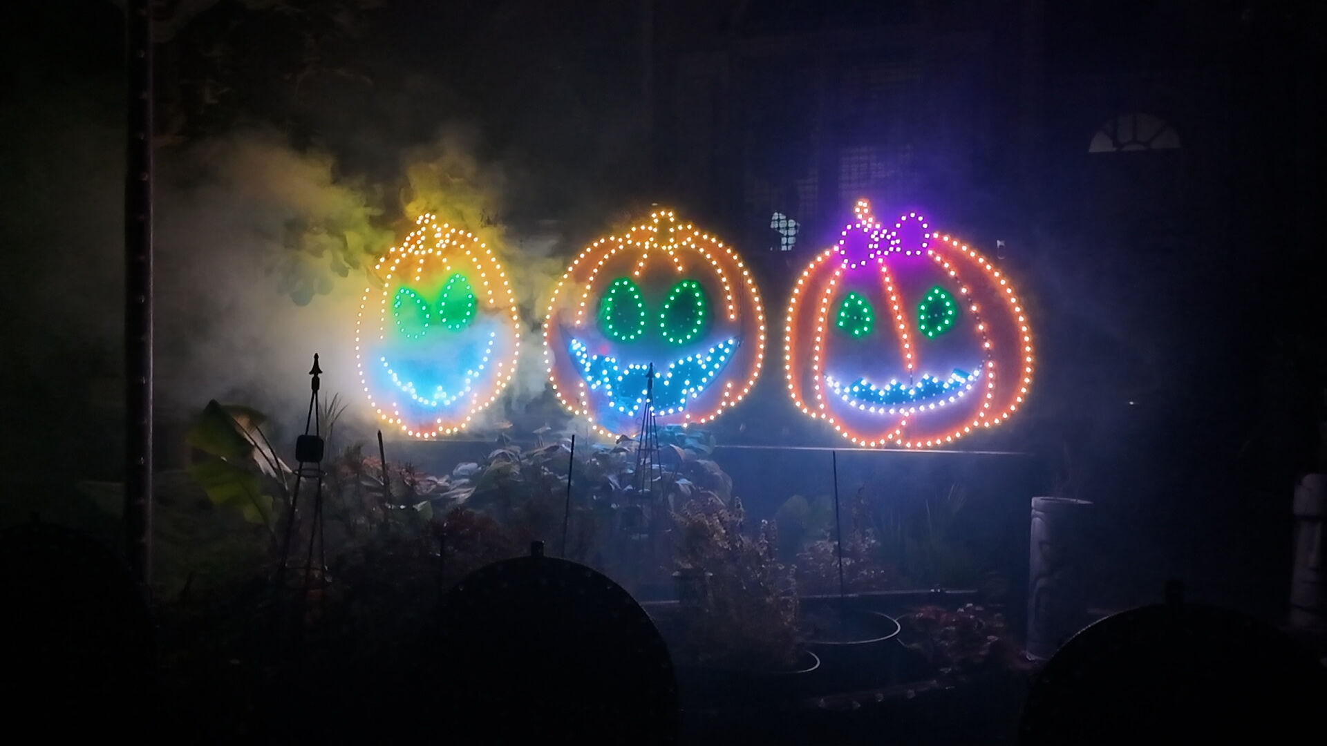 Light Show
